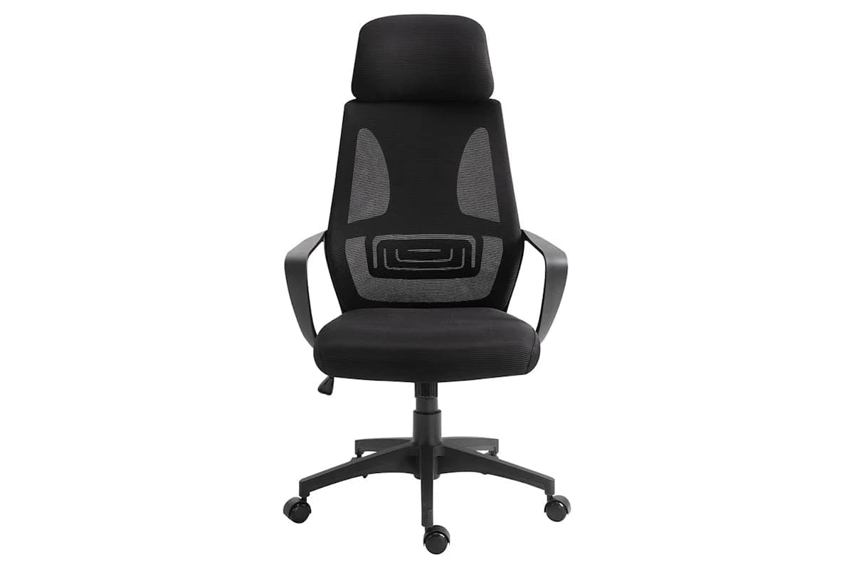 Vinsetto Ergonomic Office Chair