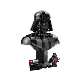 Darth Vader™ Bust