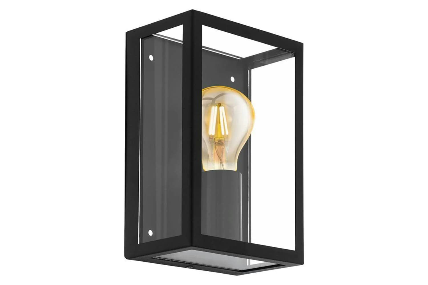 Eglo | Alamonte 1 Caged Industrial Exterior Wall Light | Black