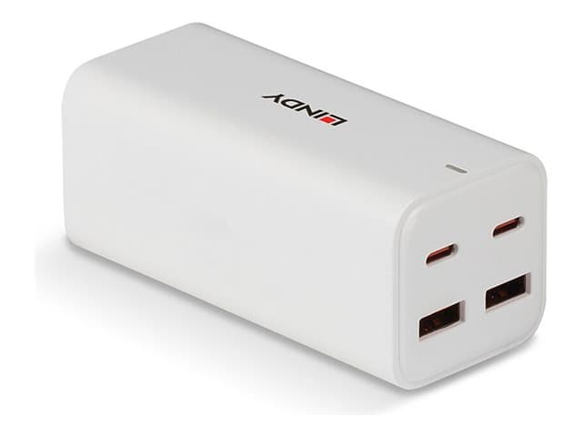 Lindy - power adapter - 2 x USB-C, 2 x USB - 100 Watt