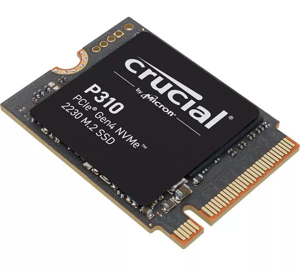 CRUCIAL P310