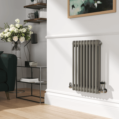 Reggio Horizontal Double Column Traditional Radiator