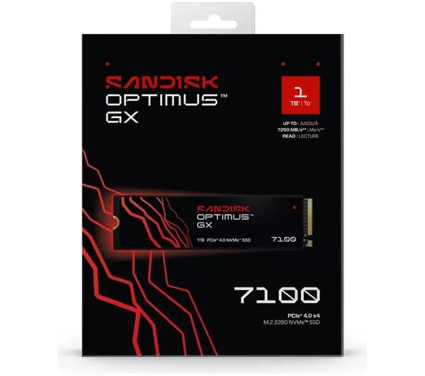SANDISK Optimus GX PRO 7100 M2 Internal SSD - 1 TB