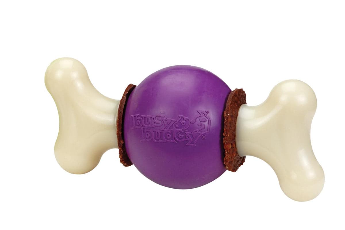 Petsafe BB-BCY-BN-L-11 Busy Buddy Bouncy Bone | Large