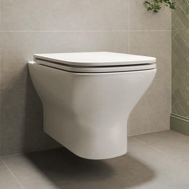 Palma Wall Hung Rimless Toilet