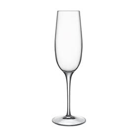 Crescendo Champ, 235ml Set of Four