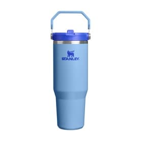 The Blue Sky IceFlow™ Flip Straw 2.0 Tumbler 0.89L