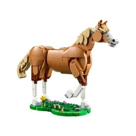 Beautiful Horse Model