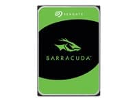 SEAGATE - Barracuda 7200.10 - hard drive - 20 TB - SATA 6Gb/s
