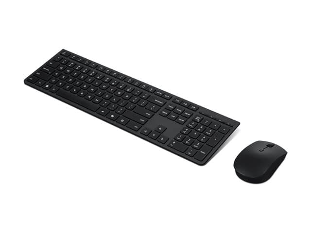 Lenovo Professional Keyboard and Mouse Set