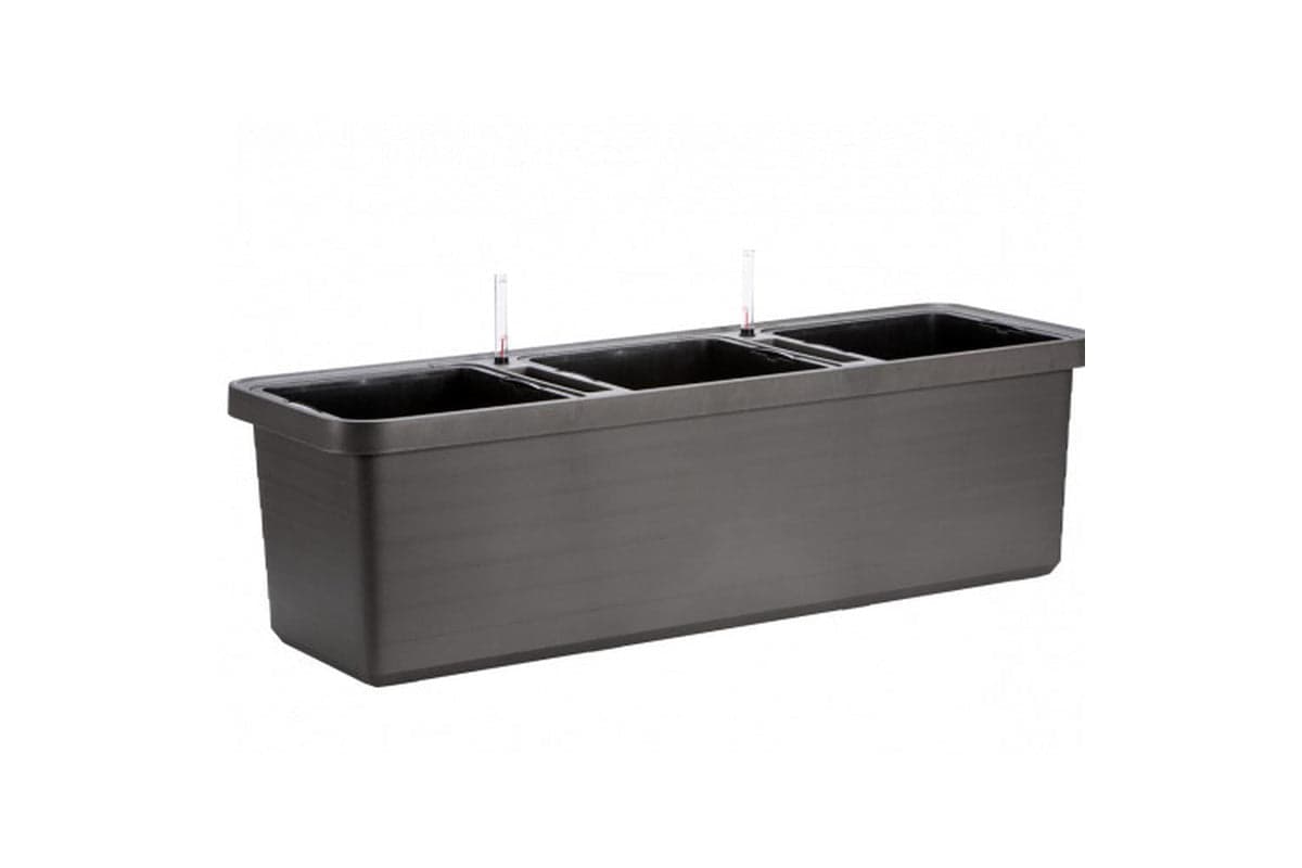 Plastia Berberis Trio Flower Box | Anthracite | 117cm