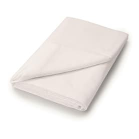 Brushed Cotton Flat Sheet Ivory