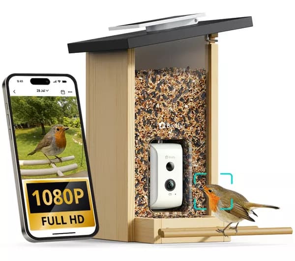 BIRDFY Ebony Lite Smart Bird Feeder with Camera and Solar Panel