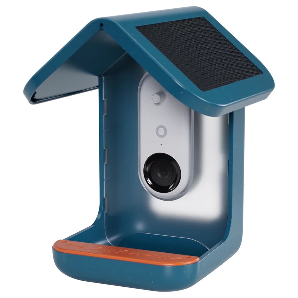 Birdbuddy Smart Bird Feeder - Blue | BBG1003BAD