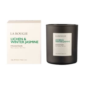 Lichen & Winter Candle