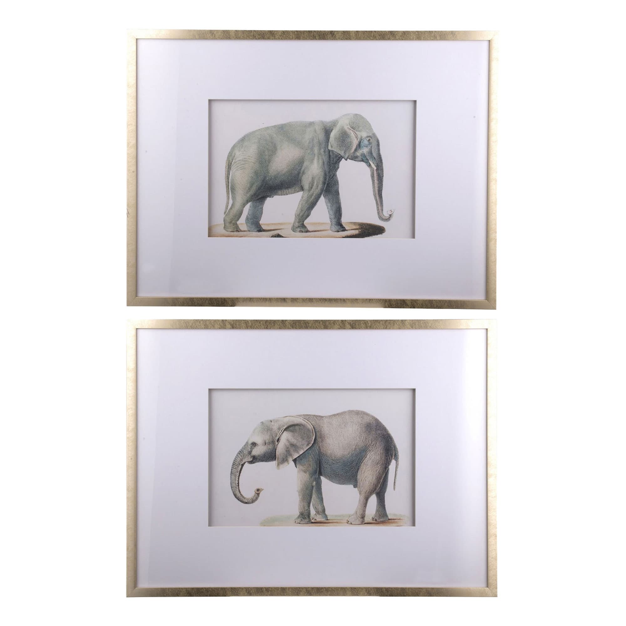Elephant Two-Piece Framed Picture Set