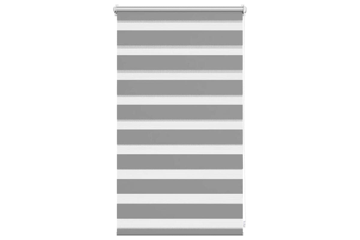 Vidaxl Zebra Blind 50 X 100 Cm Grey