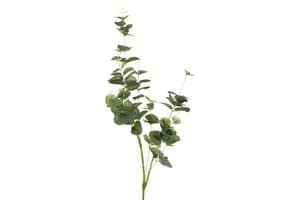 Artificial Decorative Eucalyptus Branch | Green | 75 cm