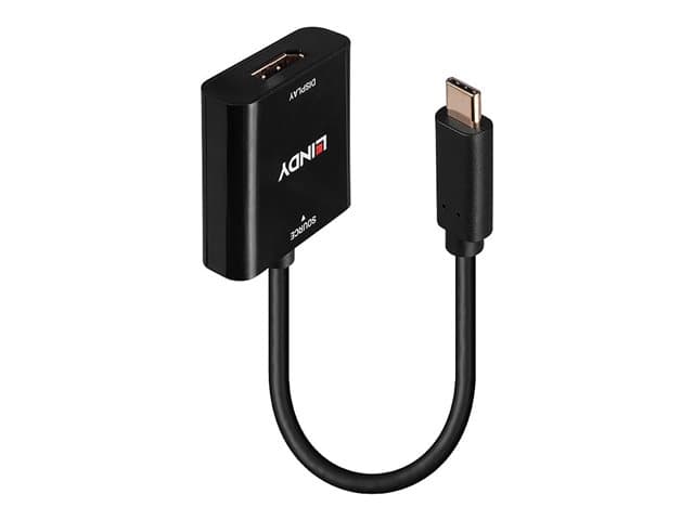Lindy - video adapter - USB-C to DisplayPort - 21 cm