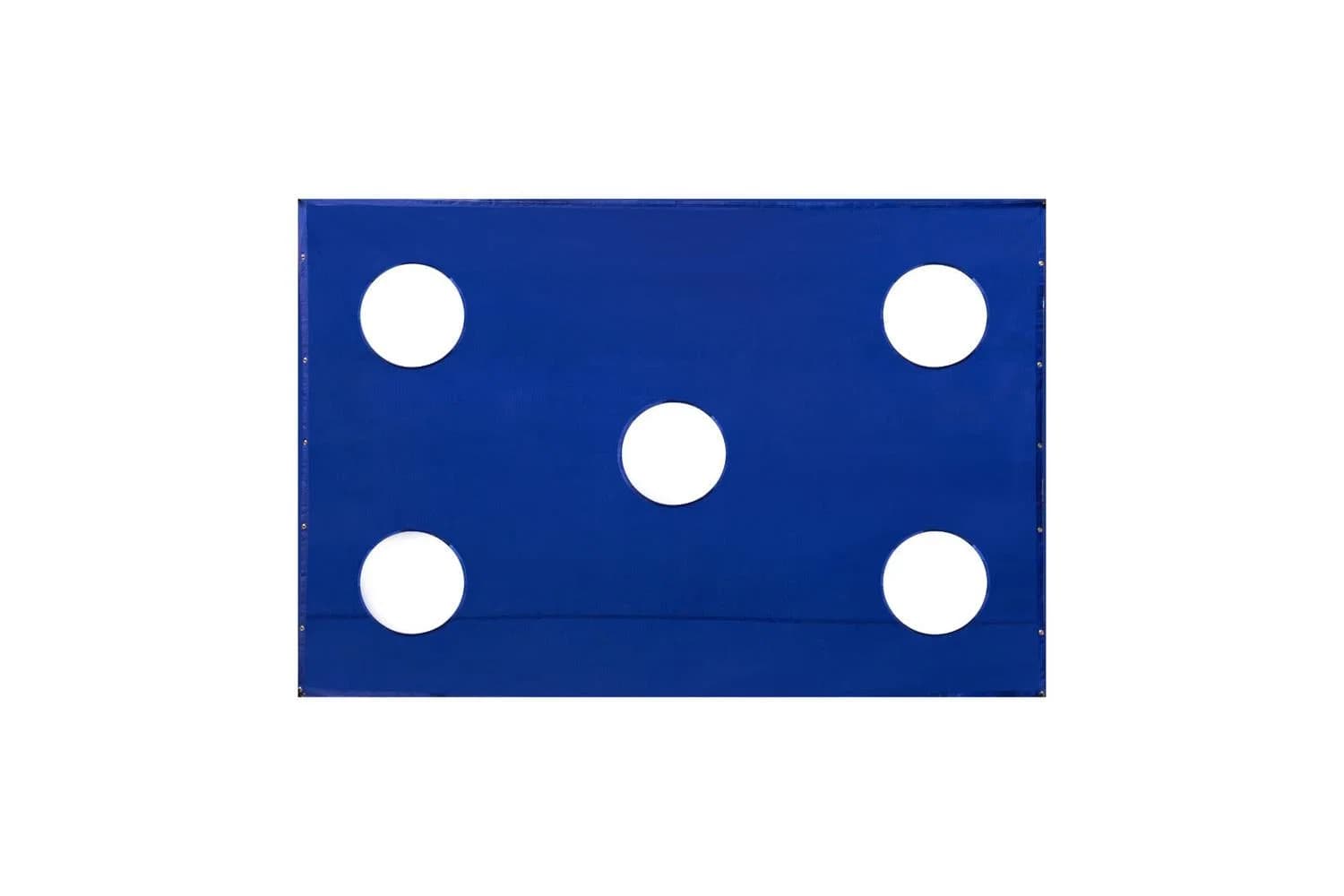 Monstershop 8 x 6ft Football Goal Target Sheet