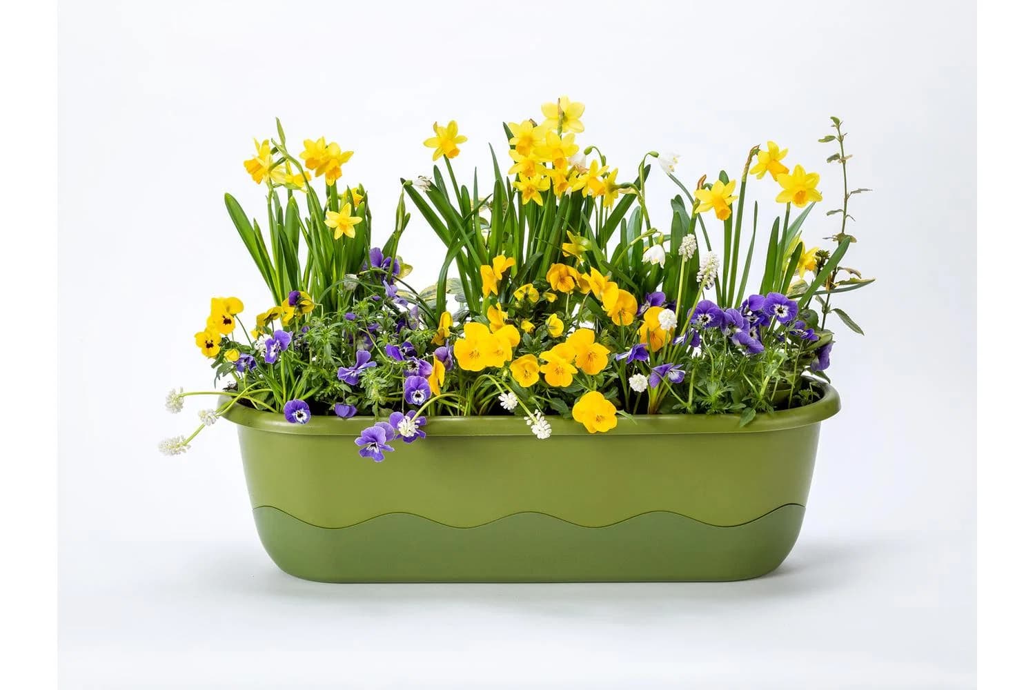 Plastia Mareta Flower Box | Green | 60cm
