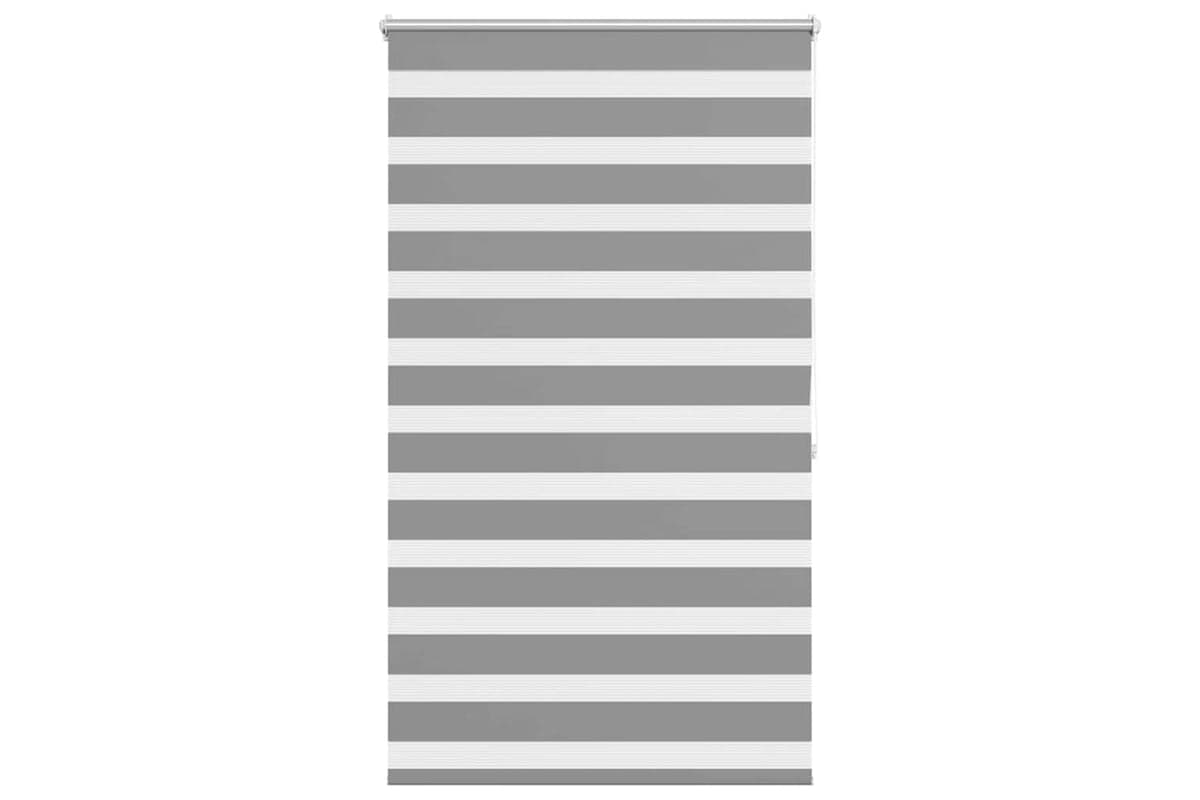 Vidaxl Zebra Blind 100 X 175 Cm Grey