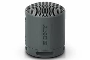 Sony SRS-XB100