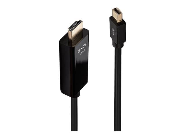 Lindy DisplayPort/HDMI Adapter Cable