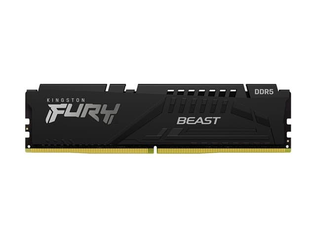 Kingston FURY Beast