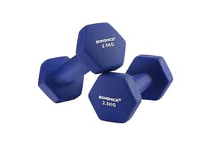 Songmics Set Of 2 Dumbbells | Neoprene Hand Weights | 2.5 Kilogram Pair | Blue