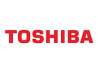 TOSHIBA - *Non Cancellable/Non Returnable (NCNR)* LCD 14 INCH DIAGONA TFT
