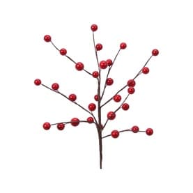 Berry Pick