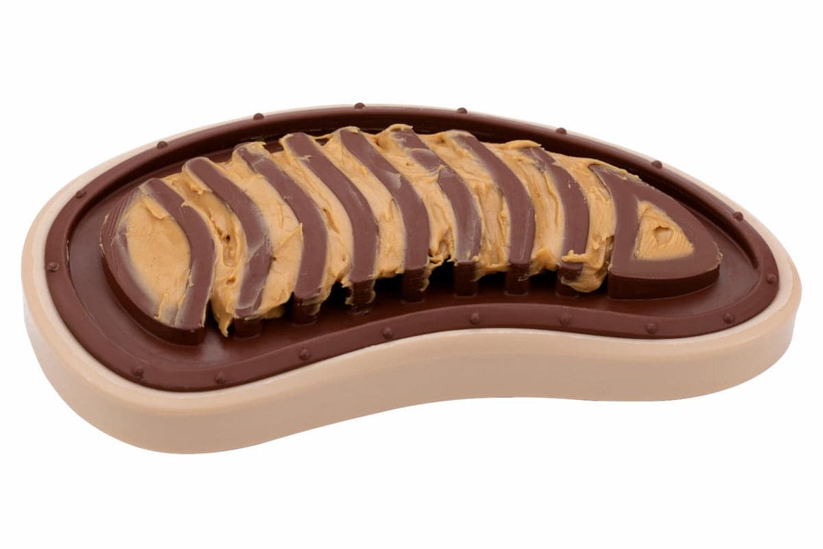 Petsafe BB-STEAK-ML-19 Busy Buddy Slab oâ€™ Sirloin Treat Ring | Medium/Large