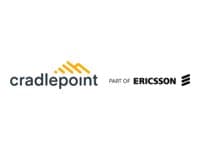 Ericsson - Cradlepoint NetCloud Enterprise Branch Essentials Plan - Subscription licence renewal (1 year)