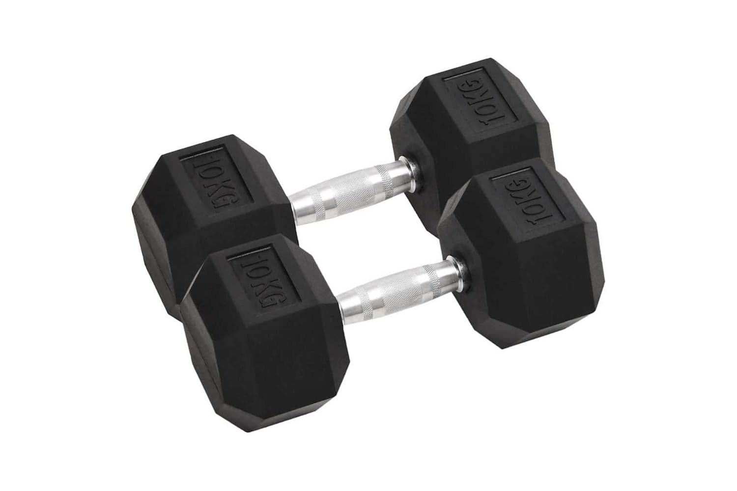 Vidaxl 93604 Dumbbells 2 Pcs 20 Kg Cast Iron