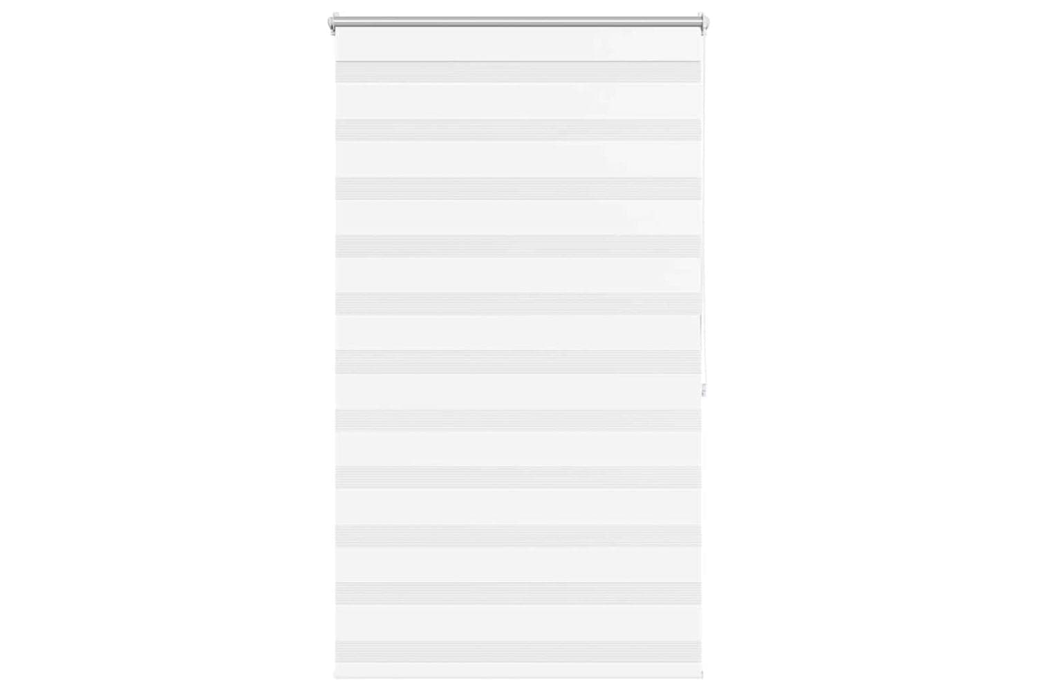 vidaXL 240210 Zebra Blind 100 X 175cm White