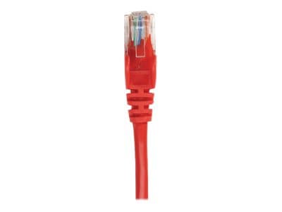 INTELLINET - Network Patch Cable, Cat5e, 1m, Red, CCA, U/UTP, PVC, RJ45, Gold Plated Contacts, Snagless, Booted, Lifetime Warranty, Polybag - patch cable - red