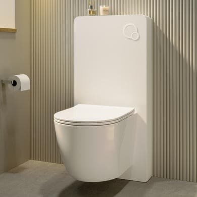 Hako Wall Hung Toilet with Glass Cabinet