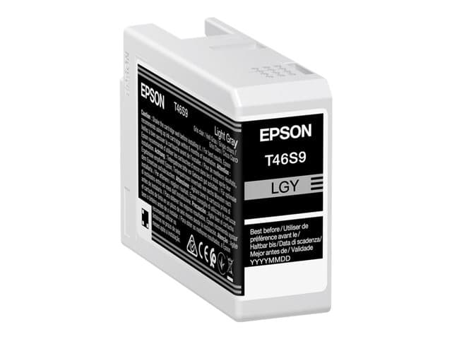 EPSON - UltraChrome Pro T46S9 - light grey - original - ink tank