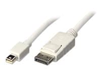 Lindy - DisplayPort cable - 3 m