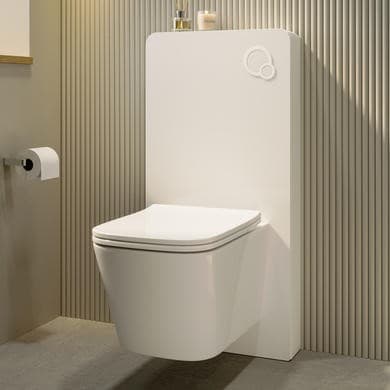 Albi Wall Hung Toilet with Glass Cabinet