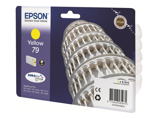 EPSON 79