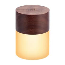 Lemelia Mini Light