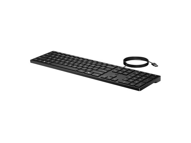 HP - Desktop 320K - keyboard - US Input Device