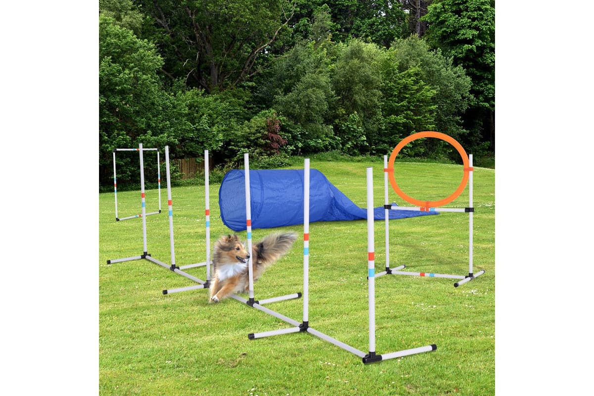 PawHut D07-022 Dogs PE Obstacle Agility Training Set | White