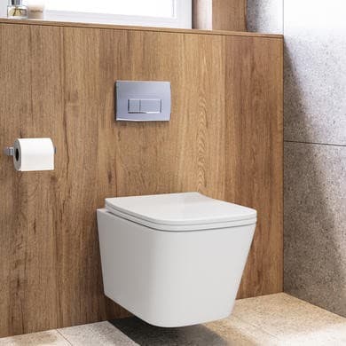 Albi Wall Hung Toilet