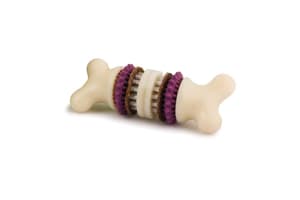 Petsafe BB-BRI-BN-S-11 Busy Buddy Bristle Bone Small