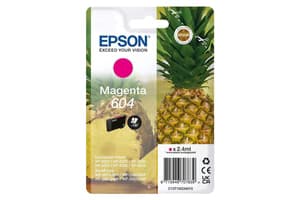 Epson 604 Pineapple Individual Genuine Ink