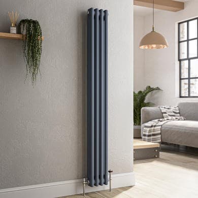 Reggio Anthracite Vertical Double Column Traditional Radiator