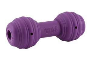 Petsafe BB-CHK-11 Busy Buddy Chuckle Dog Toy
